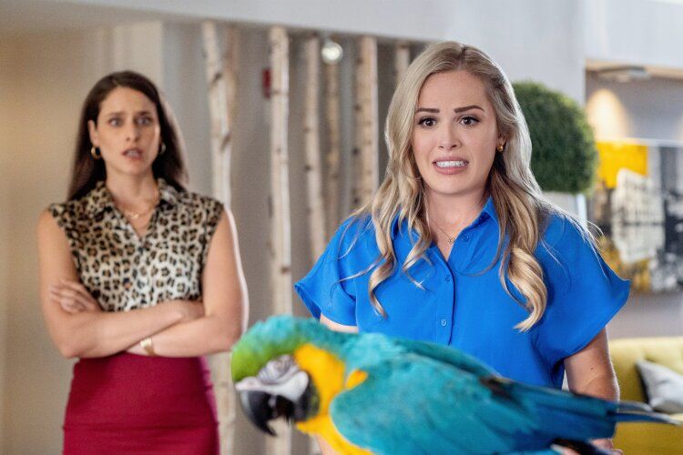 Fly Away With Me : Foto