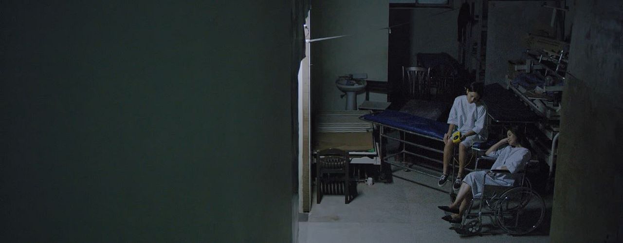 What Happened to the Wolf? : Foto