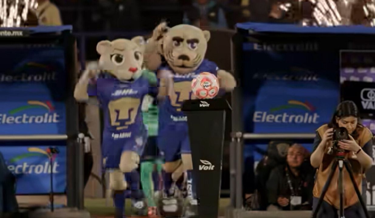 Puma desde la cuna : Foto