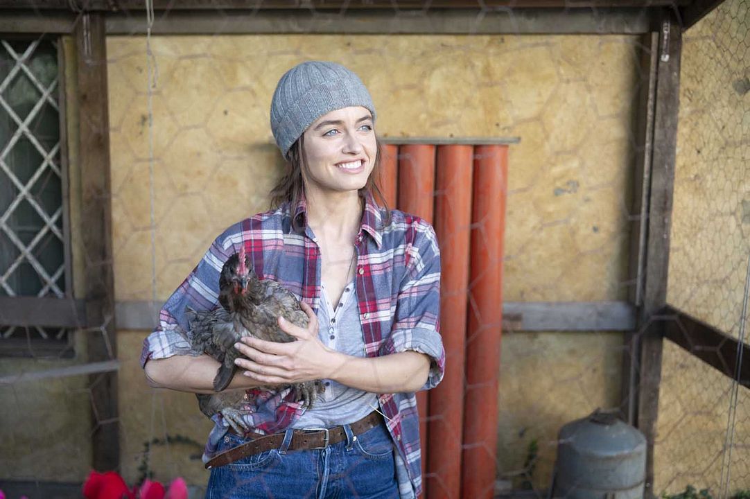 No es país para solteros : Foto Matilde Gioli