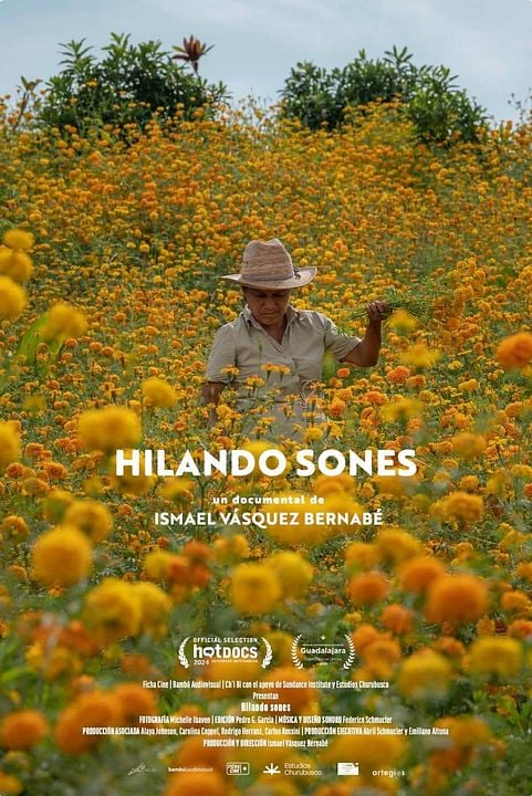 Hilando sones : Póster