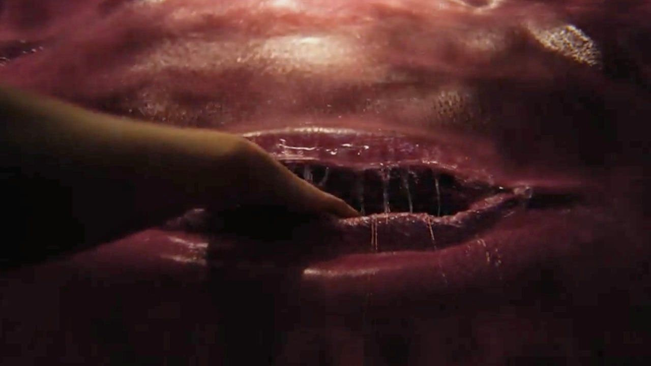 Adolescencia, sexo y muerte en Campamento Miasma : Foto