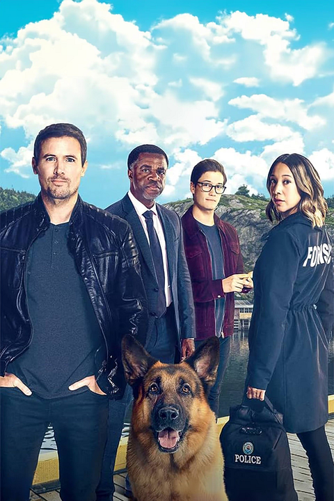 Hudson & Rex : Póster