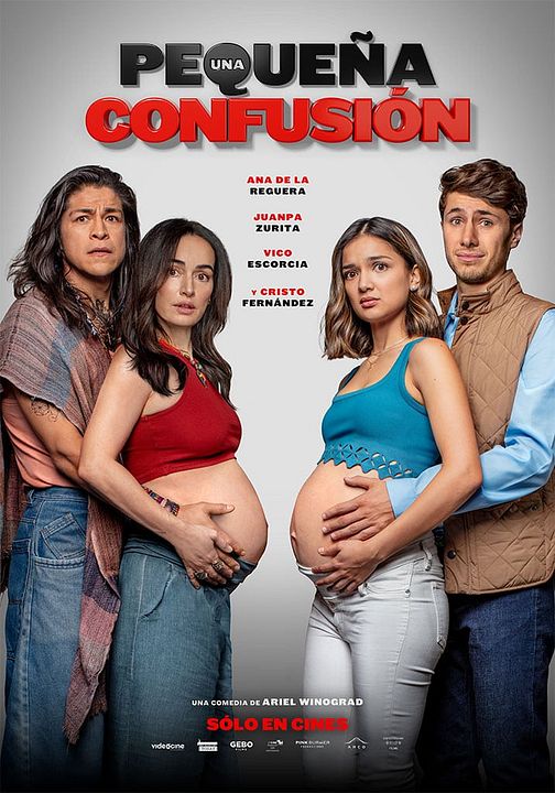 Una Pequeña Confusión : Póster