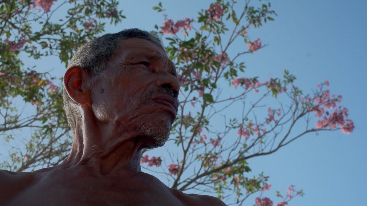 Positivo Negativo : Foto