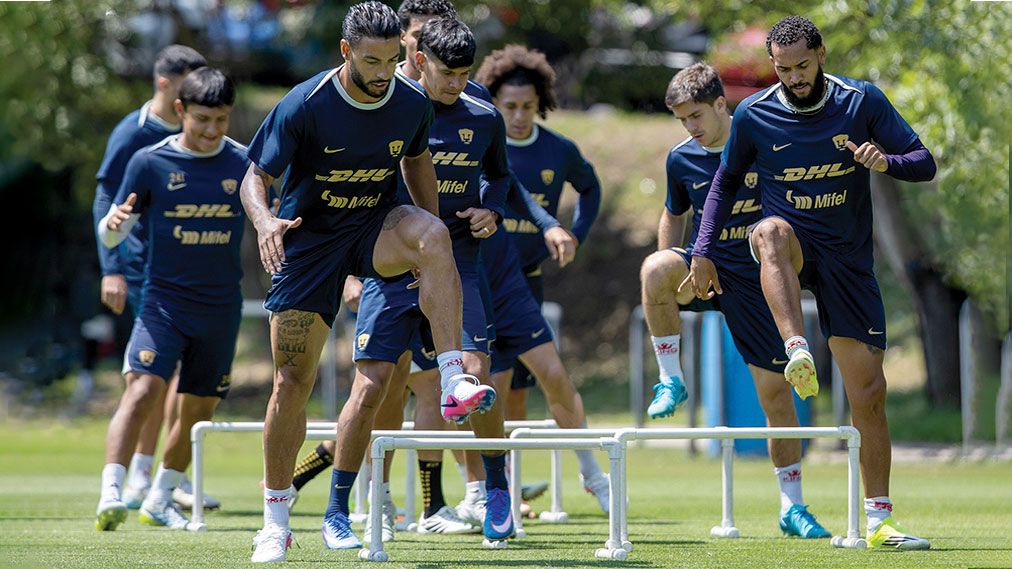 Puma desde la cuna : Foto