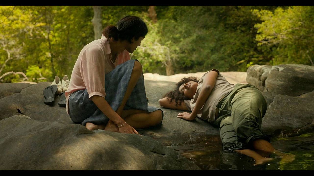 Turtle’s Gaze on Spying Stars : Foto