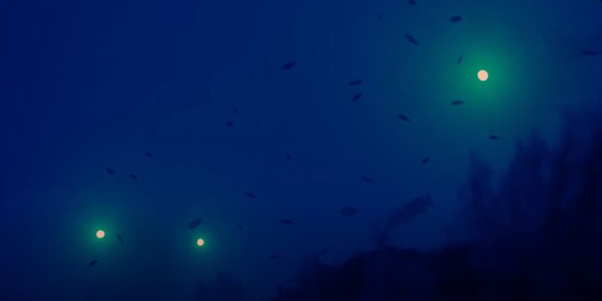 Deep Hope, le dernier refuge : Foto