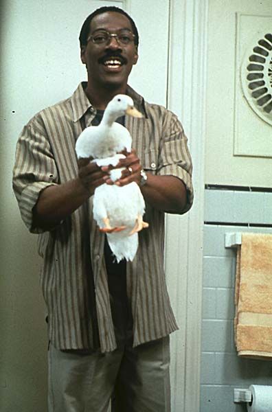 Dr. Dolittle : Foto Betty Thomas, Eddie Murphy