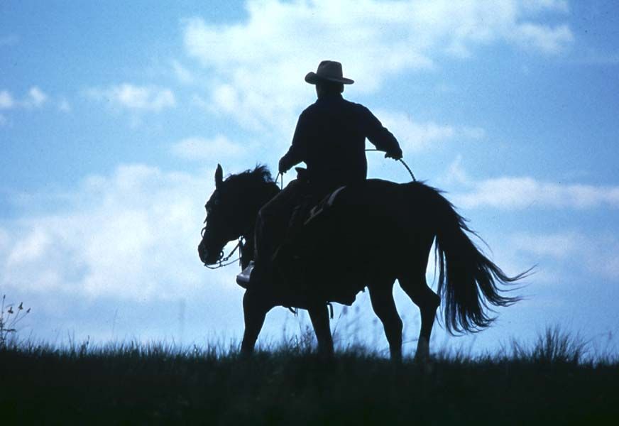 El señor de los caballos : Foto Robert Redford