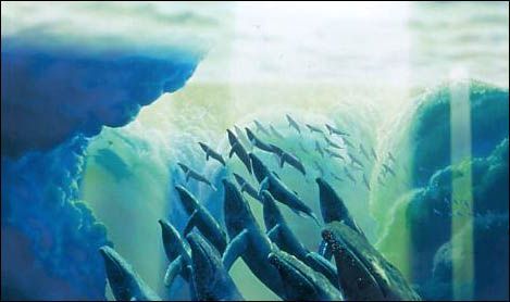 Fantasía 2000 : Foto