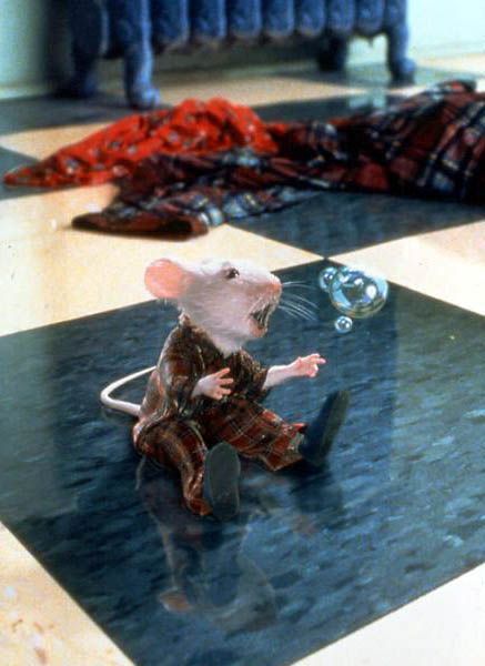 Stuart Little : Foto