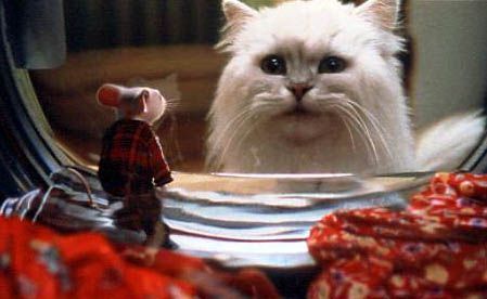 Stuart Little : Foto