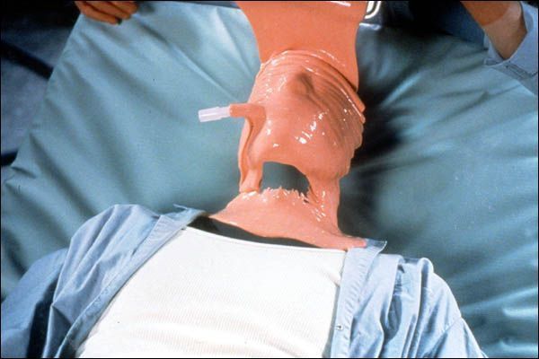 El hombre sin sombra : Foto