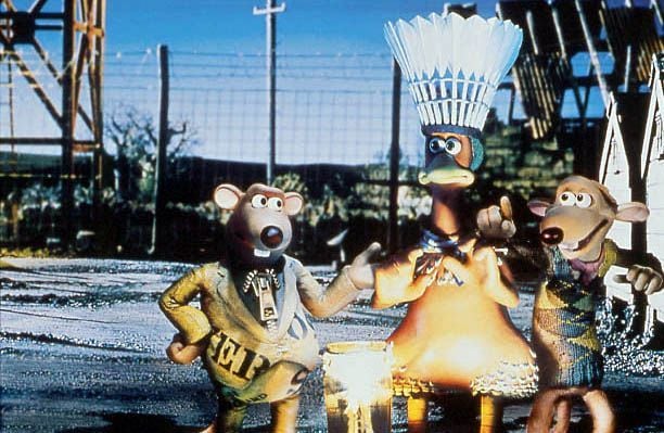 Pollitos en fuga : Foto