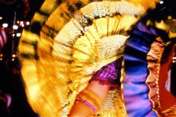 Moulin Rouge: Amor en rojo : Foto