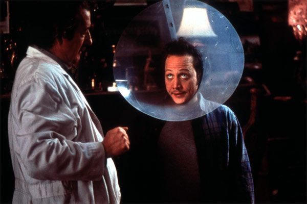 Animal : Foto Luke Greenfield, Rob Schneider