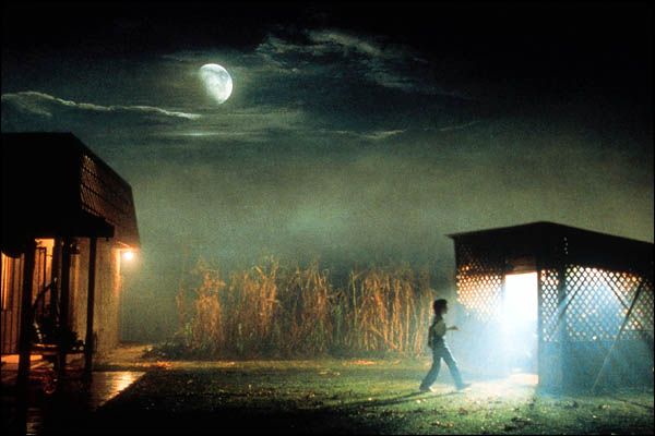 E.T. El extraterrestre : Foto