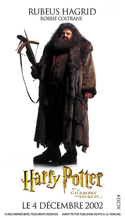 Harry Potter y la cámara secreta : Foto