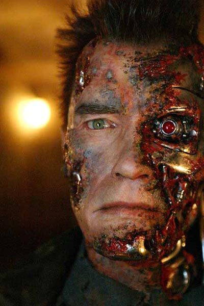 Terminator 3: La rebelión de las máquinas : Foto Arnold Schwarzenegger