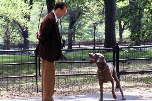 Sueño de amor : Foto Ralph Fiennes