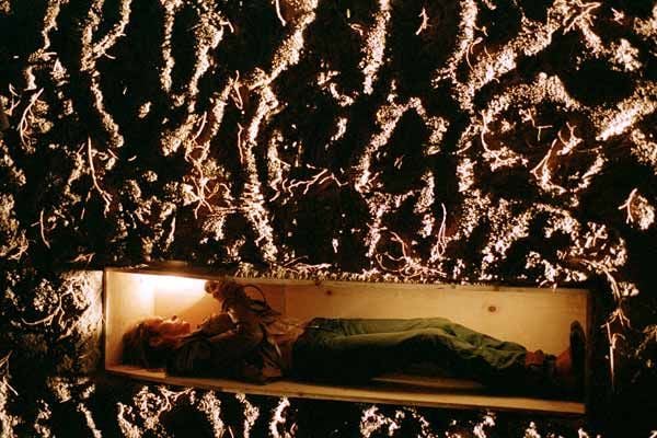 Kill Bill Volumen 2 : Foto Uma Thurman