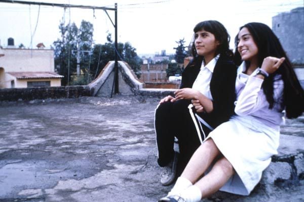 Perfume de violetas : Foto