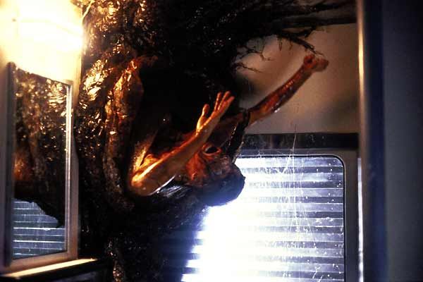 Species (Especie mortal) : Foto