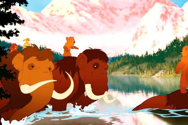 Tierra de osos : Foto