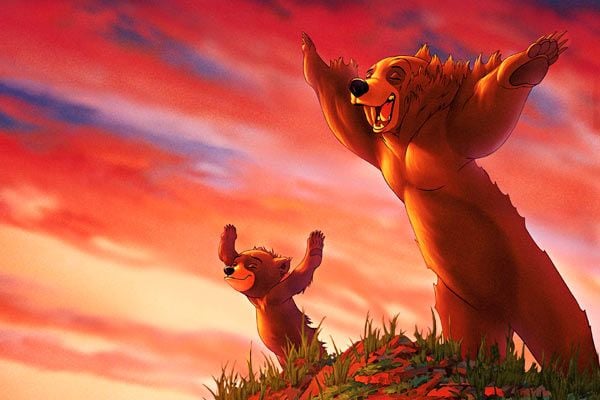 Tierra de osos : Foto