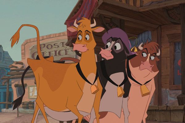 Vacas vaqueras : Foto