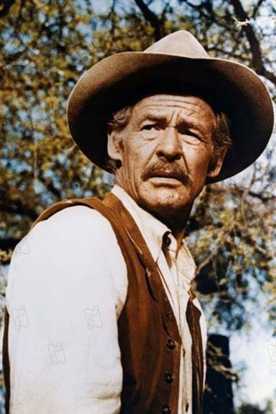 La pandilla salvaje : Foto William Holden