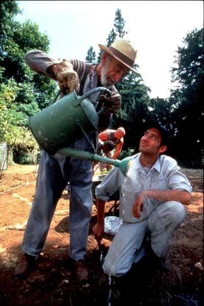 Greenfingers : Foto Clive Owen