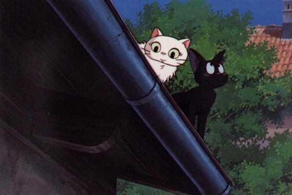 Kiki entregas a domicilio : Foto