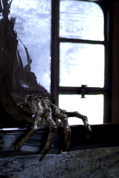 Harry Potter y el prisionero de Azkaban : Foto