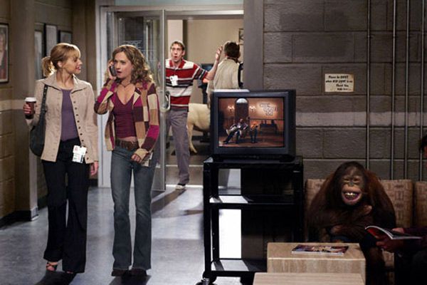 Las exnovias de mi novio : Foto