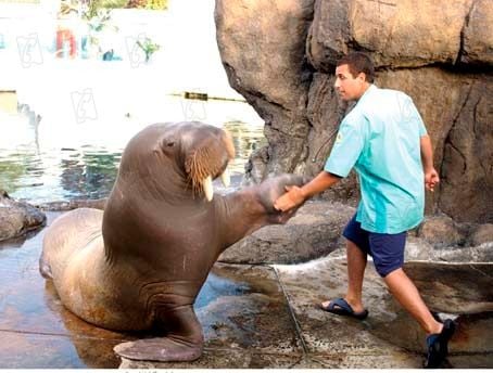 Como si fuera la primera vez : Foto Peter Segal, Adam Sandler