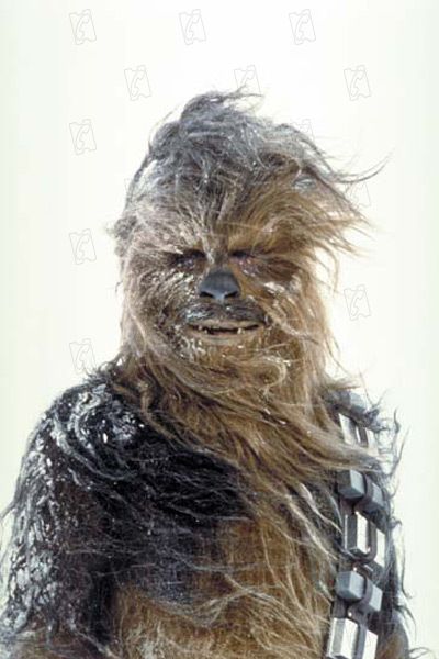 Star Wars : Episodio V - El imperio contraataca : Foto Irvin Kershner, Peter Mayhew