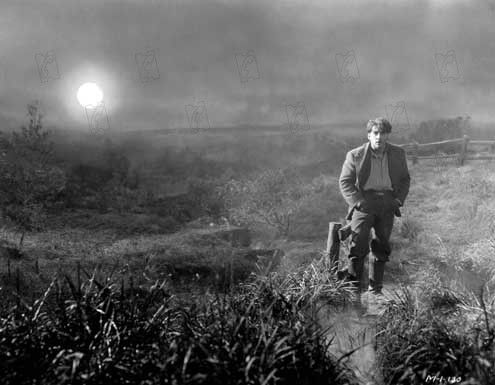 Amanecer : Foto F.W. Murnau