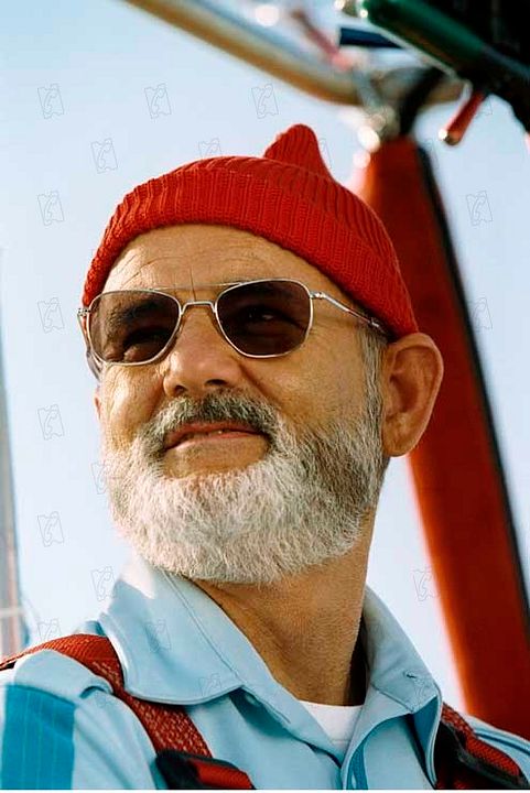 La vida acuática con Steve Zissou : Foto Bill Murray, Wes Anderson