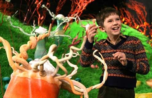 Charlie y la fábrica de chocolate : Foto Tim Burton, Freddie Highmore