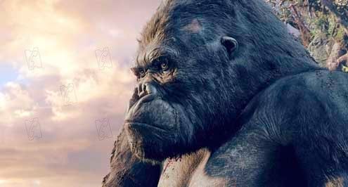 King Kong : Foto Peter Jackson