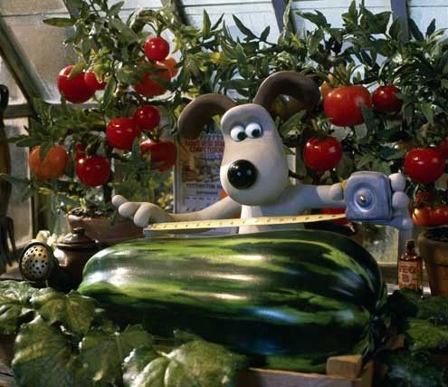 Wallace y Gromit - La maldición de los vegetales : Foto