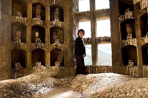 Harry Potter y el cáliz de fuego : Foto Daniel Radcliffe