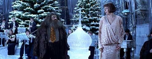 Harry Potter y el cáliz de fuego : Foto Robbie Coltrane, Mike Newell, Frances de la Tour