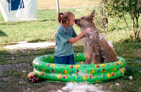 Foto Wayne Wang, AnnaSophia Robb