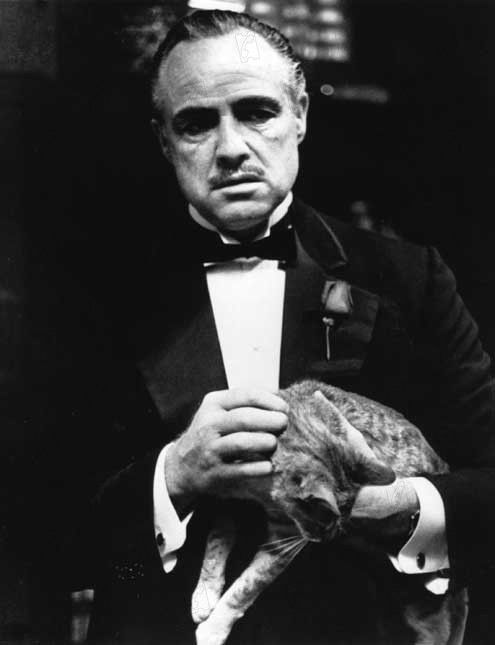 El Padrino : Foto Francis Ford Coppola, Marlon Brando