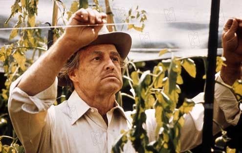 El Padrino : Foto Francis Ford Coppola, Marlon Brando