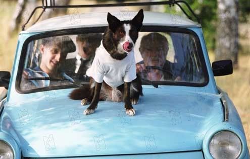 Foto Elijah Wood, Liev Schreiber