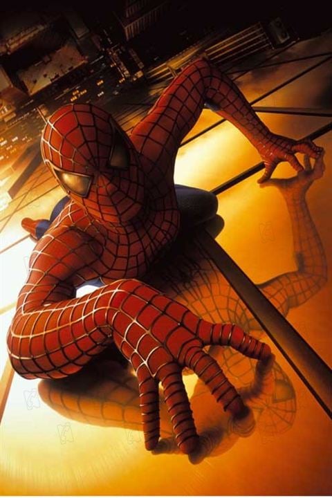 El Hombre Araña 3 : Foto Tobey Maguire, Sam Raimi
